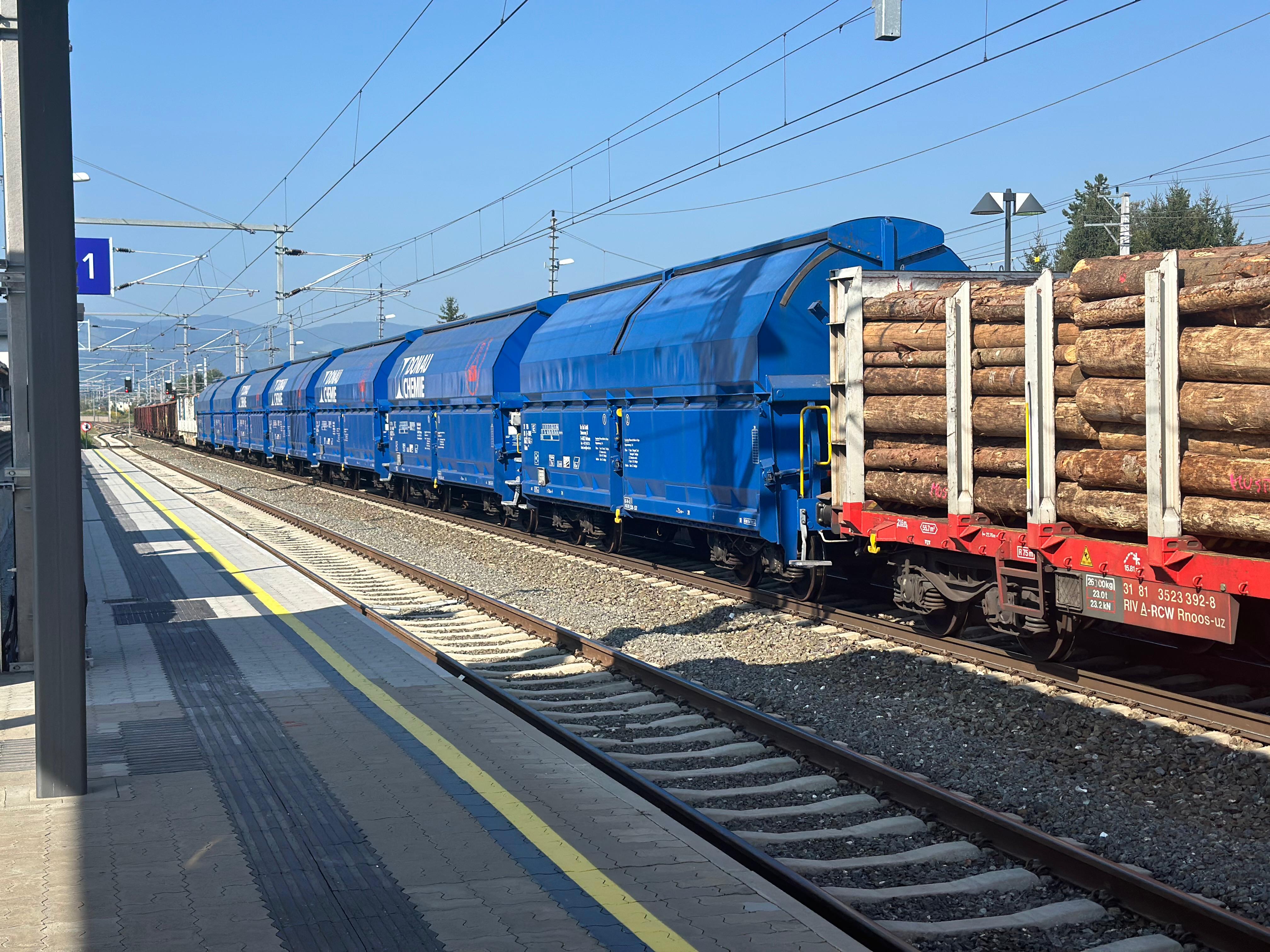 An einem klaren Tag fahren ein blauer Güterzug und ein roter, mit Baumstämmen beladener Zug durch einen Bahnhof.